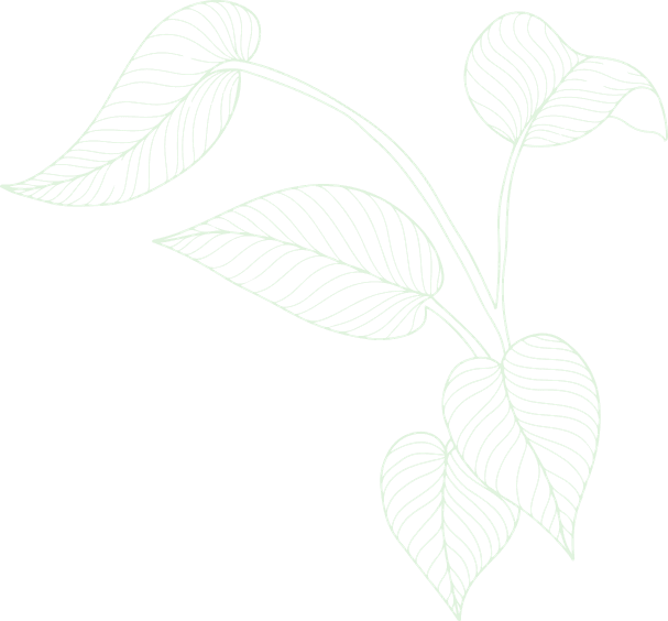 about_1_3